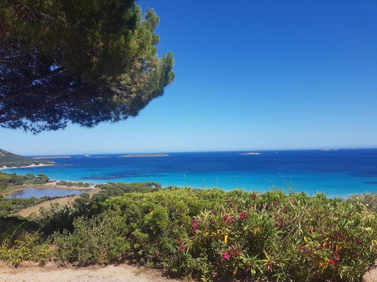Maison Sur Palombaggia Porto-Vecchio (Corsica) Exterior foto